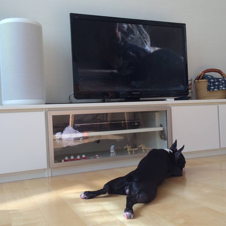 6fab9498 3802 475d 9372 9ee01e08626b