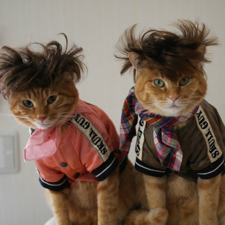 6fac111e c2ca 47e6 b743 e4010e131099