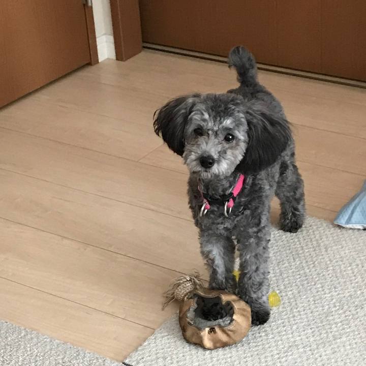 6fac1688 afe1 4e85 bfa9 a3ec5bba2687