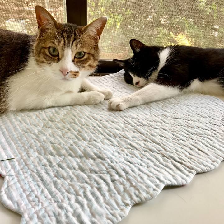 6fac9f7f a438 4251 9f0f 45ca1af3c637