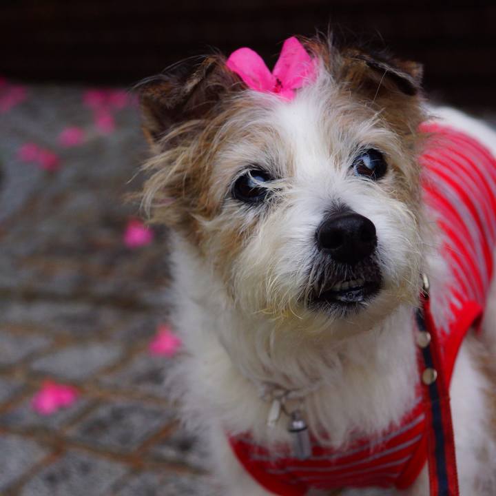 6facc964 ebb1 4e2c a459 a8943211eadd