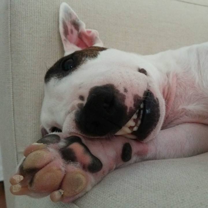 6facfd01 955a 4a3d 961e 7e78456853d2