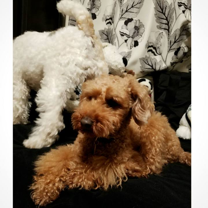 6fad1152 f338 4875 b2b3 9a28bbf84f32