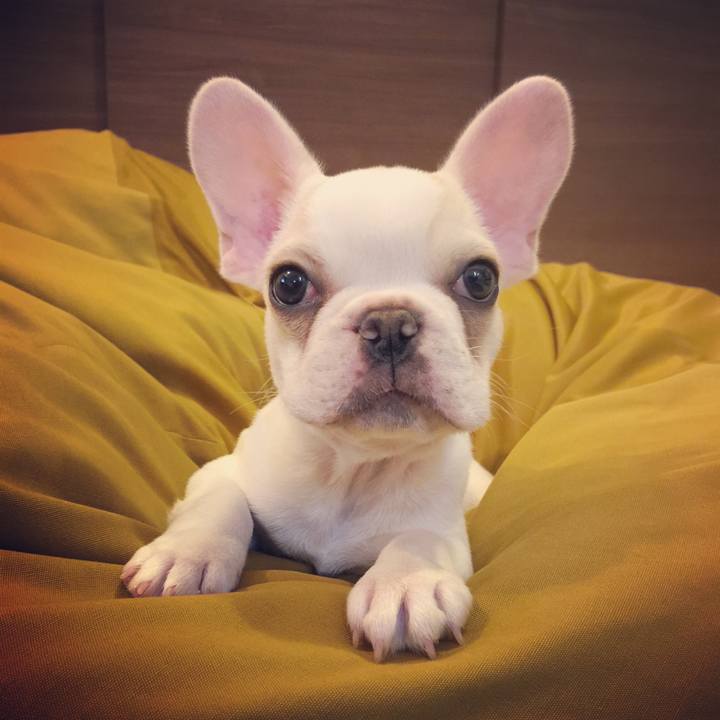 6fad25d8 6dce 43e5 940d 9d157aca8285