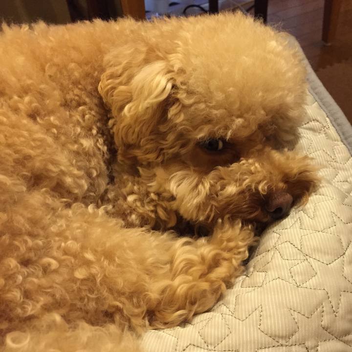 6fad76b2 ea51 4dcf af70 1c9ef294c3df