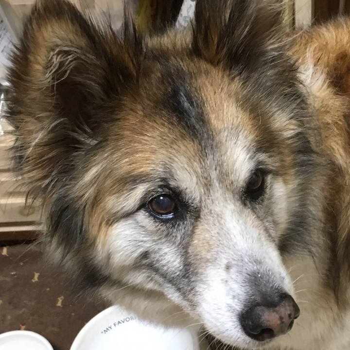 6fadfa17 d9f0 47a3 81fc 01bc80d681e5