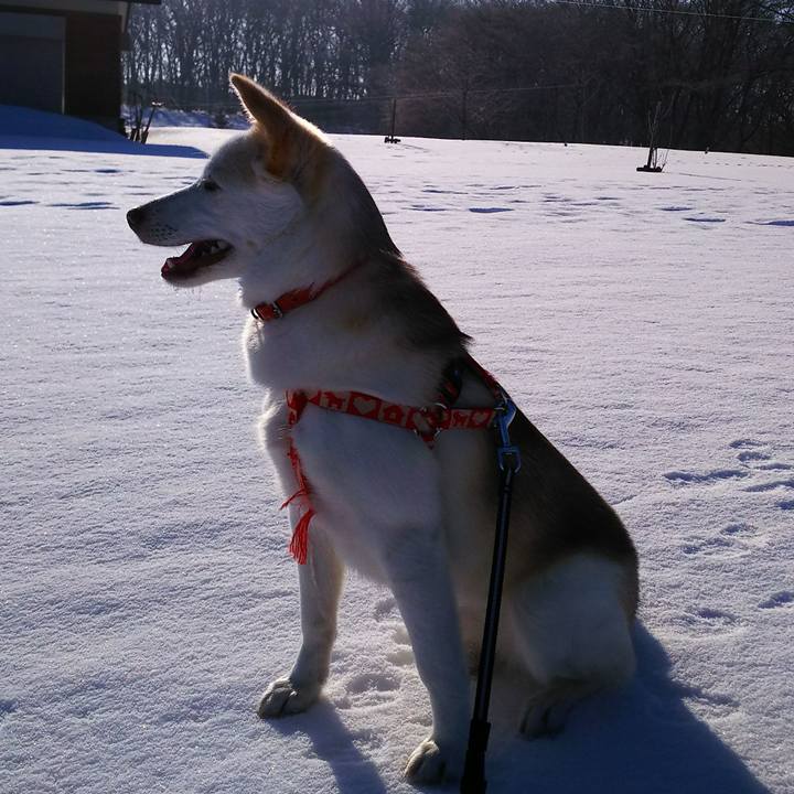 6faebf5f f369 4810 b8c2 1a375abe89a0