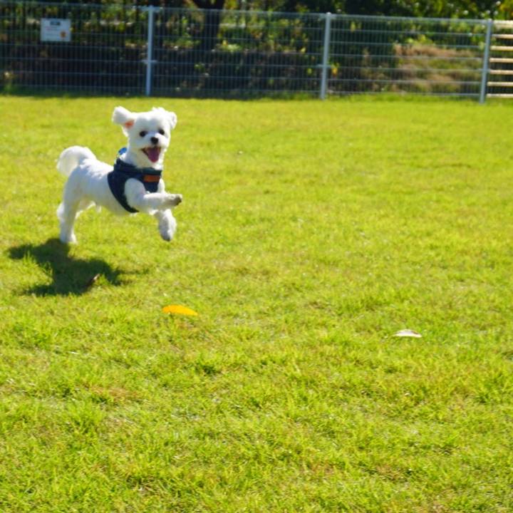 6faee784 0892 4b3b a638 0793049f4b68