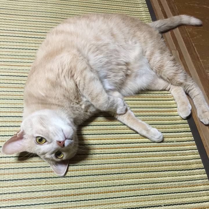 6faf9312 6a5a 4193 9de9 02bd8a84487d