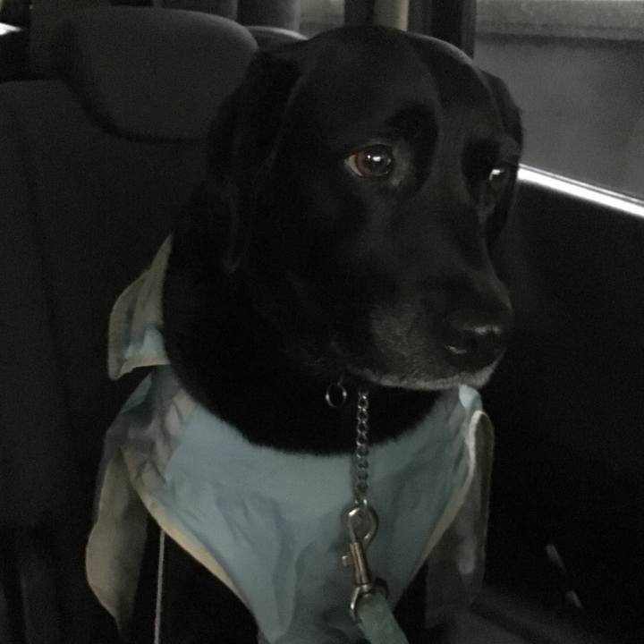 6fb03678 9a4c 408a a4a1 07359c38b5a6