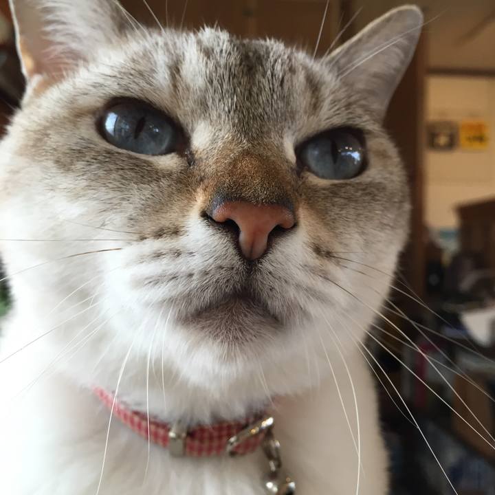 6fb0ee11 01cb 4948 833a 5b99a9d659bf