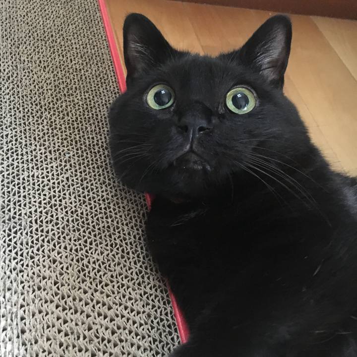 6fb1b3b9 7a56 4462 9526 d3633f34c448