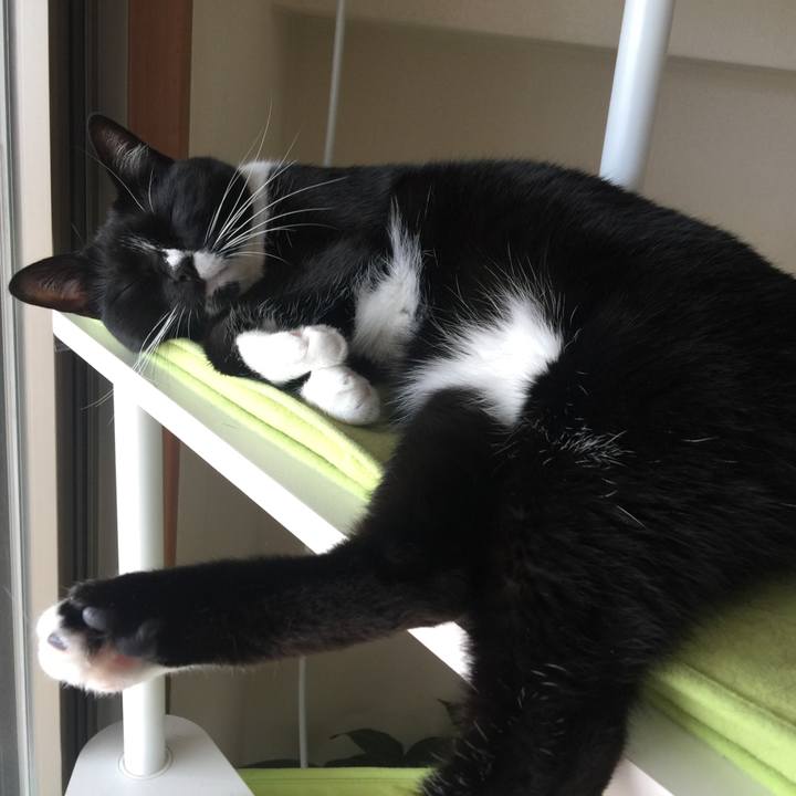 6fb24758 feb9 4d7e b3eb c0347ebd9334