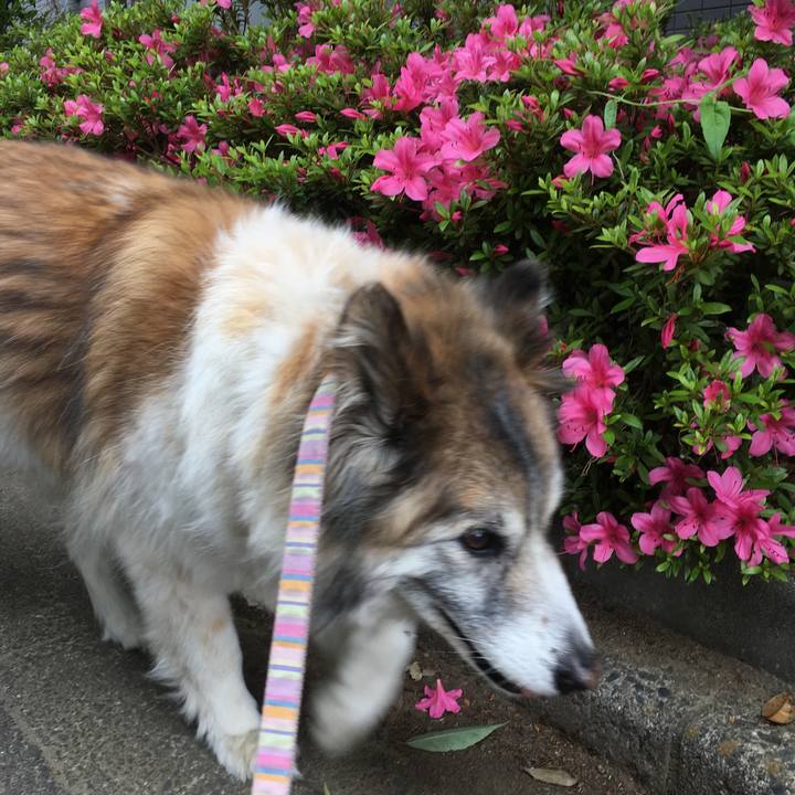 6fb2d899 18cc 45dd a72c d8f4aa518c59