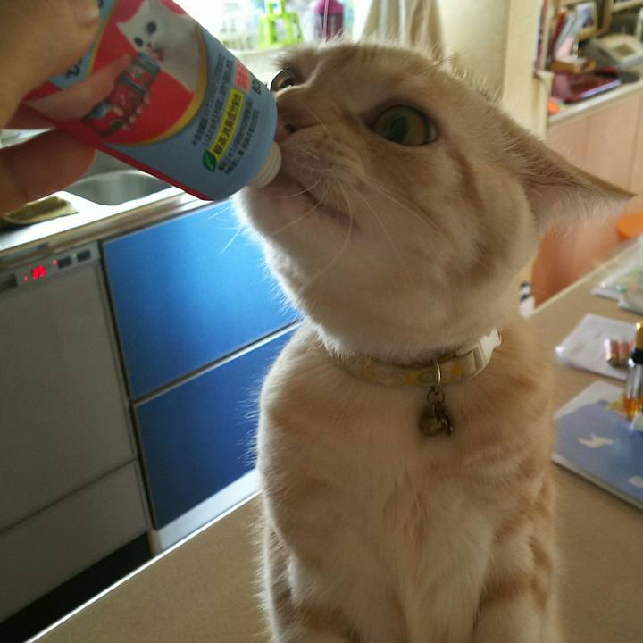 6fb3f2db d092 42bb 92b7 186db27515c3