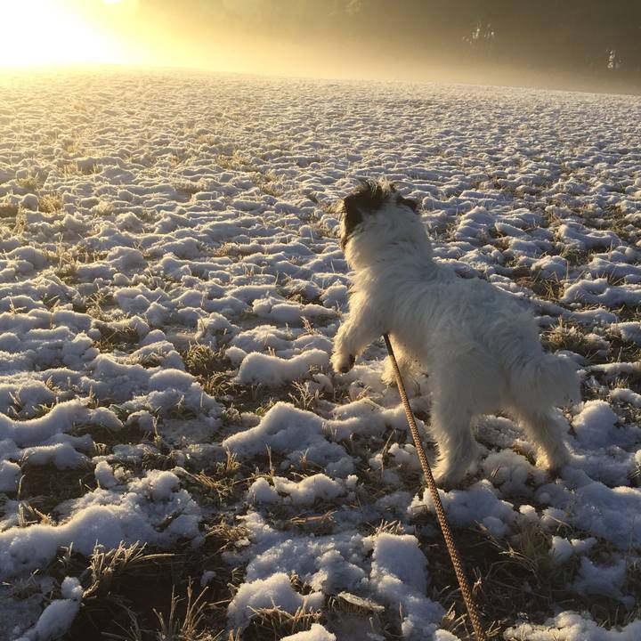 6fb43527 b42e 4c05 91cc f33c8301256d