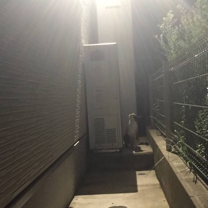 6fb4c95e 063f 463e 8c35 5eef483d17d3