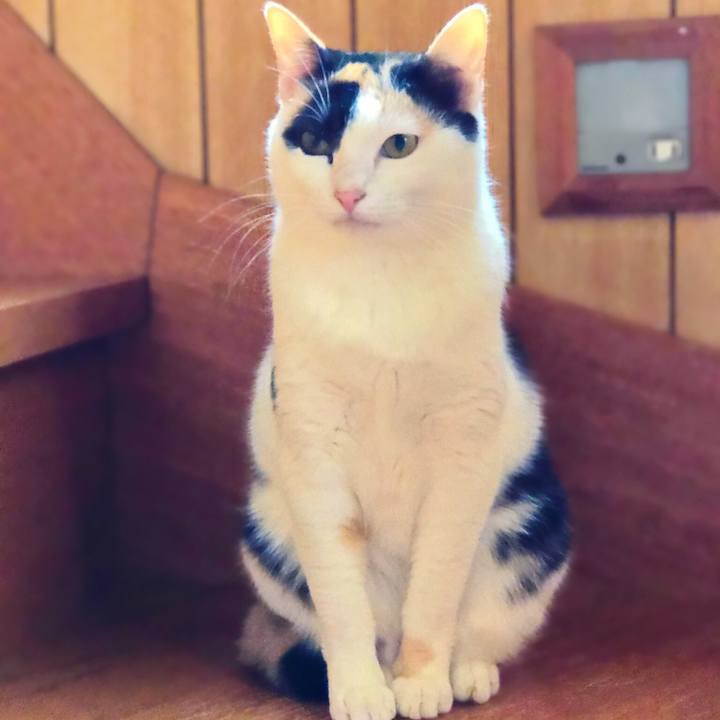 6fb4f9e2 16e9 498d 9df5 53fc9e58428a