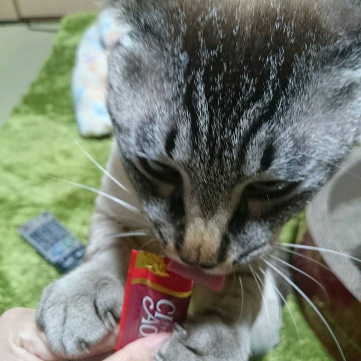 6fb5814b 569e 467a b7b8 c61a0248dfbe