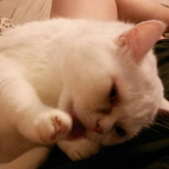 6fb5c537 4b13 4081 90b6 d67b84622e17