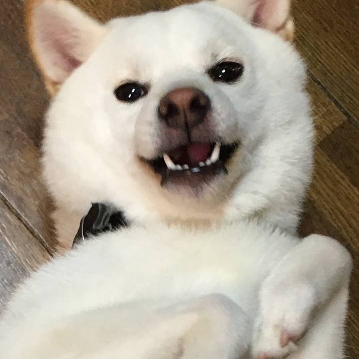 6fb5c876 72e5 4eed b3d4 ca09ef498295