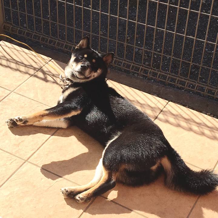 6fb5caed 00e1 4a6b a4c3 9b01e8bc023e