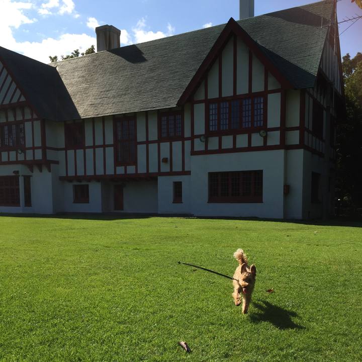 6fb619f5 addb 407d b52d 41c5a6a536d0