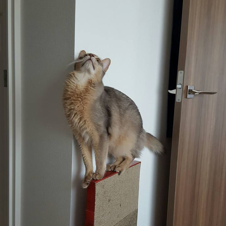 6fb6af2b 4b09 4a97 806c c94d3a24fe2c