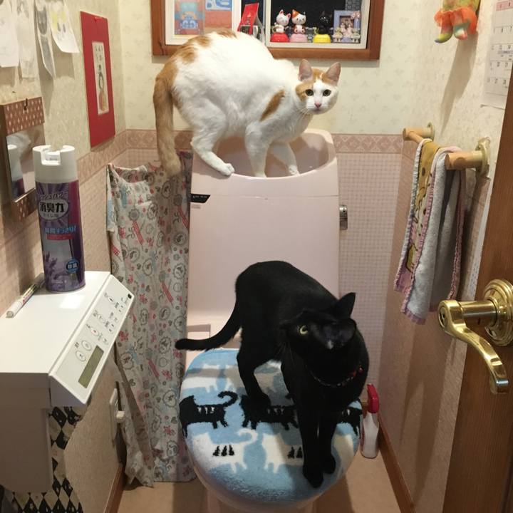 6fb6fc5f 08ef 4620 8a3a 11d6e61bdc55