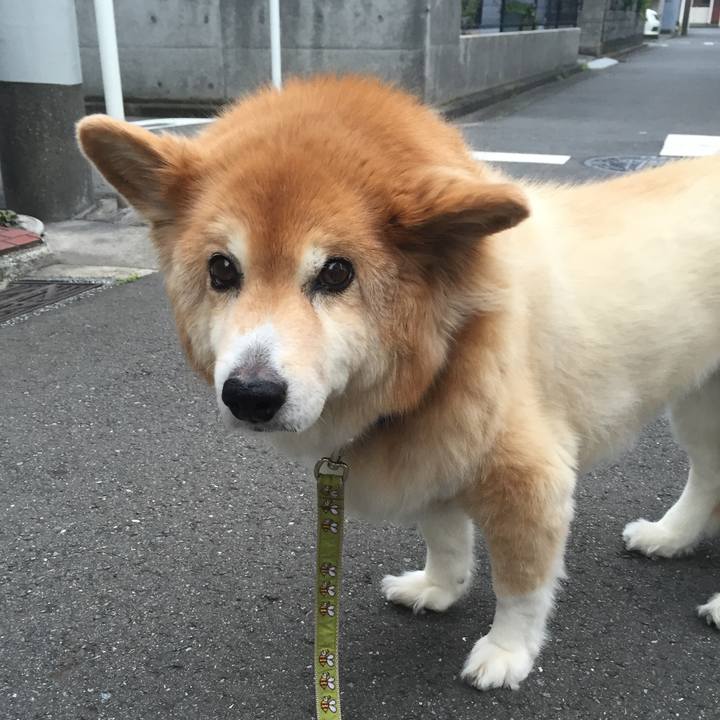 6fb7658f 43f4 450a bf7f 844c0298d1e7