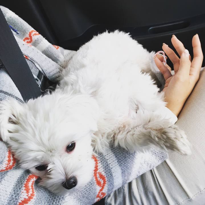 6fb77bc0 0e8a 4f58 ab1b c5854b888972