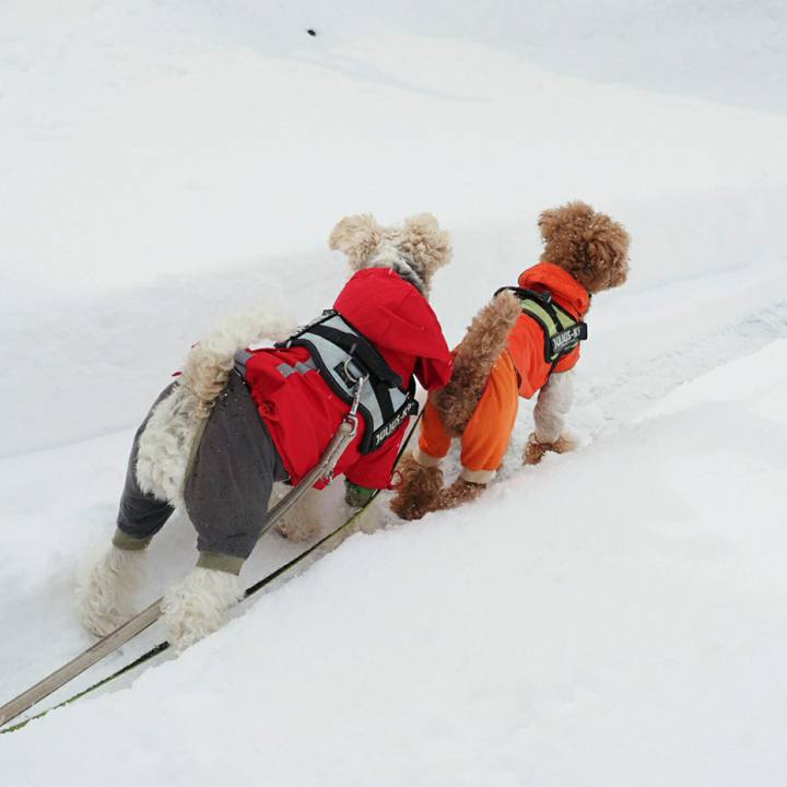 6fb8512a 6054 466d acce 9076a8882ea9