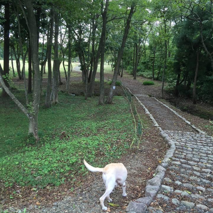 6fb8beab 82a8 48d2 88fa d1b747fd0989