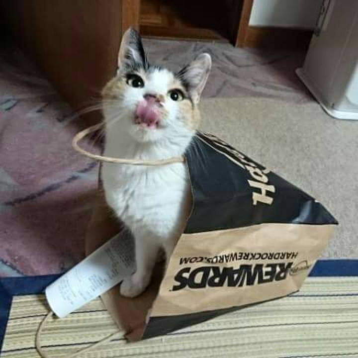 6fb8f596 fdb0 4c7d ac87 d577201c8e3b