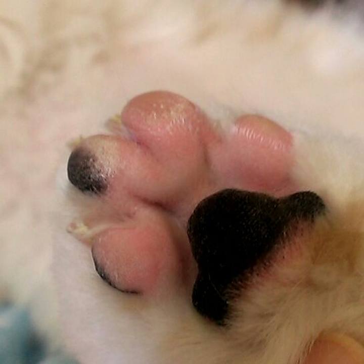 6fb966d5 a99c 4ee9 ae3a 33908c787ef5