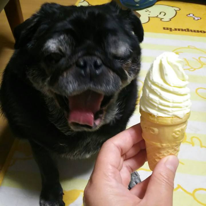 6fb9b4ec cbbb 4e31 b892 80d26584b3b1