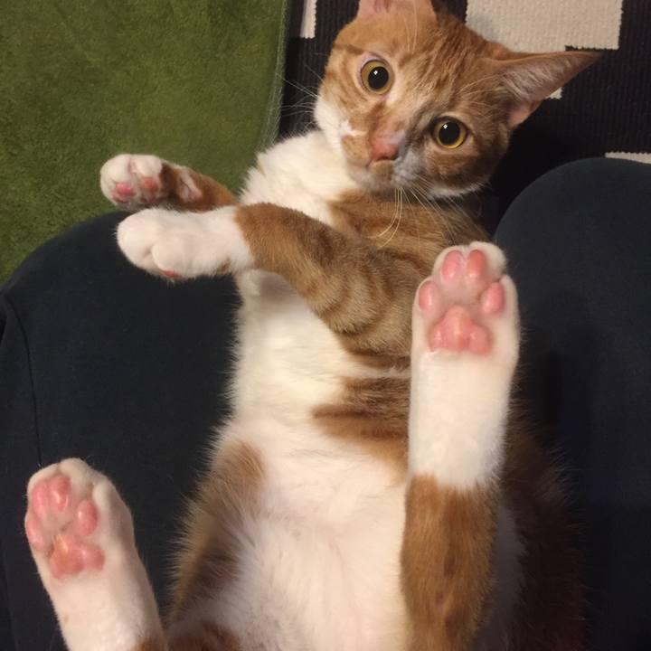 6fbb016a 9981 4f8e 8c5d d1b4eaa0fd35