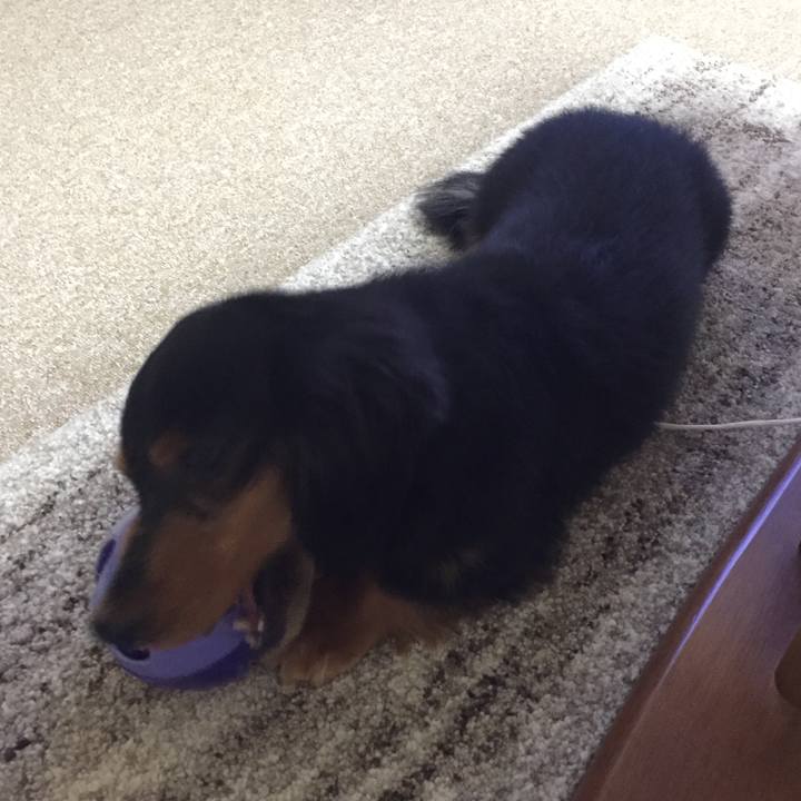 6fbb25c2 9a79 4459 836b a4990df07c90