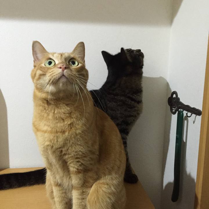 6fbb92d4 9c12 4887 82a4 c7c97c0f88bc