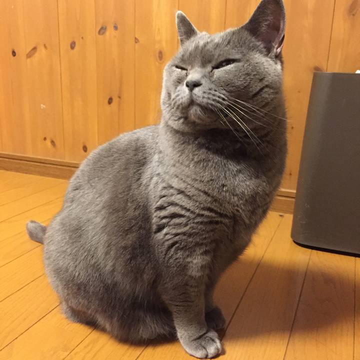 6fbbd1f0 10ad 4b3d 8b70 62310130882e