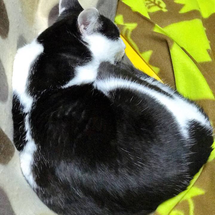 6fbd8bf5 c485 4562 9ffa ccdb9b6d4e8f