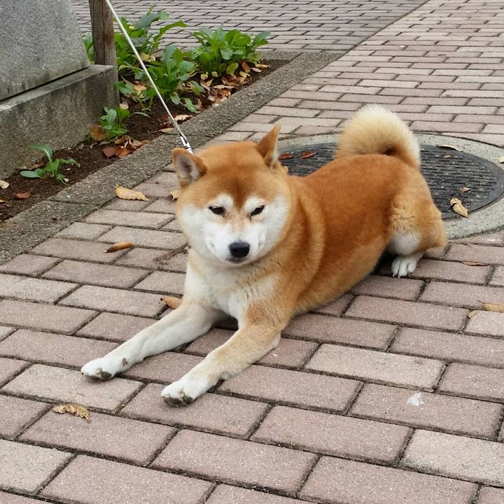 6fbd8d1d 8f13 4db2 bed1 226b91756104