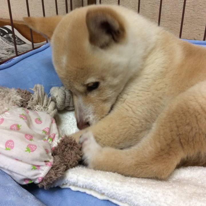 6fbde6e4 0853 4968 940f 11a7b6f96bfc