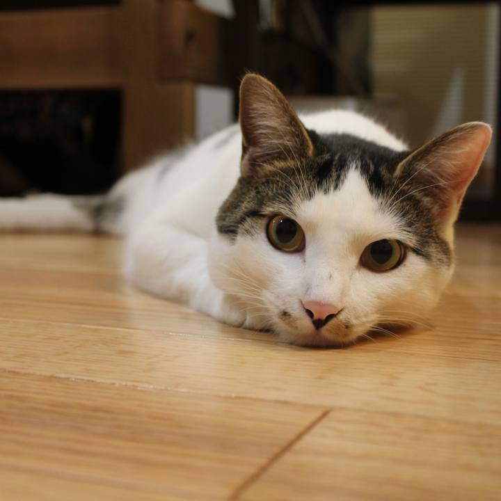 6fbe6823 1f66 4416 acc1 d6855a252a2d