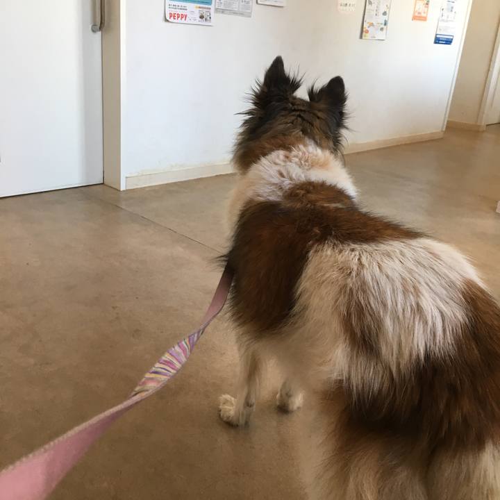 6fbe8e77 7786 46d0 acc2 66458b2b2e44