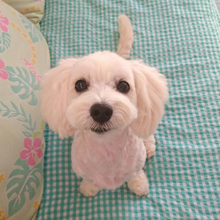 6fbe9d07 ed99 4835 a10f 4b5399b5e07f