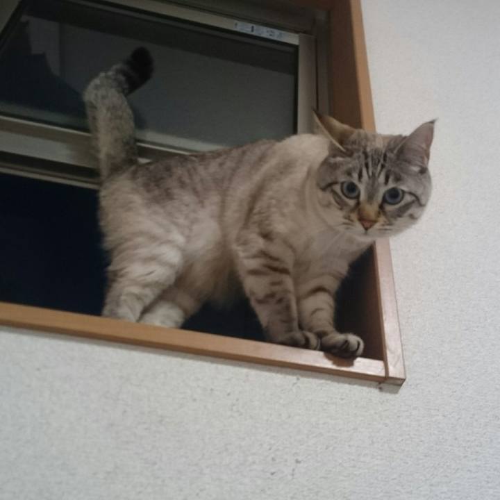 6fbeb7b7 8d97 45c9 8e89 5ef9582f7fe9