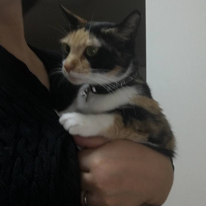 6fbeef3f 5414 4a97 bee5 dda75384e68e