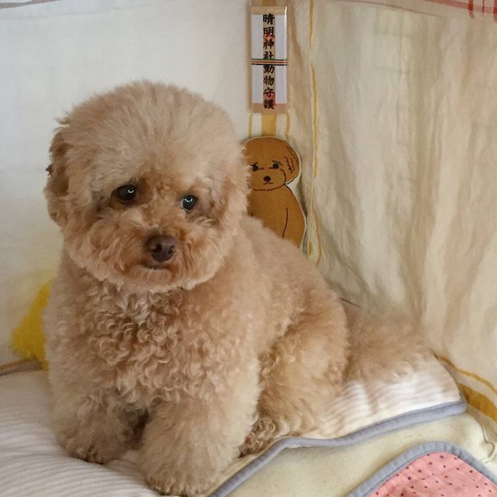 6fbf5cc9 d83f 4e28 8bf4 20cdf2b36df7