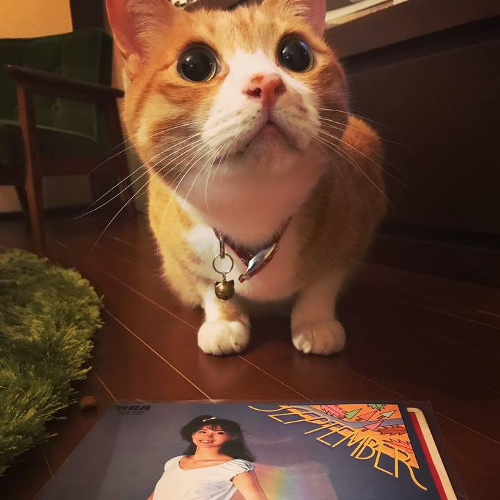 6fbf6e3c 4f99 4365 8480 b9e19501986d